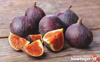 Чем полезен инжир для организма человека