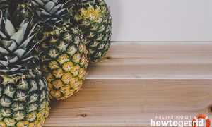 Чем полезен ананас для женщин и мужчин
