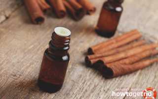 Эфирное масло корицы — свойства и применение