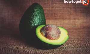 Что можно приготовить из авокадо?