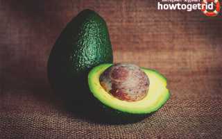 Что можно приготовить из авокадо?
