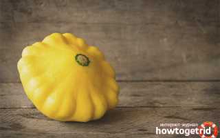 Что приготовить из патиссонов быстро и вкусно