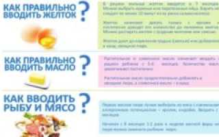 Ввод в прикорм рыбы