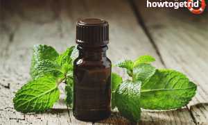 Эфирное масло мелиссы — свойства и применение