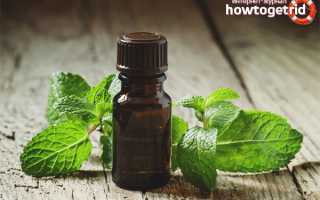 Эфирное масло мелиссы — свойства и применение