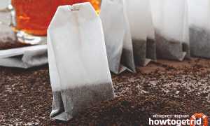 Чай в пакетиках — польза и вред для здоровья