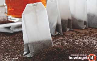 Чай в пакетиках — польза и вред для здоровья