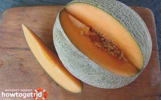 Чем полезна дыня для организма человека