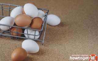 Чем отличаются белые яйца от коричневых?