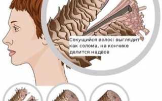 Что делать, если волосы секутся по всей длине