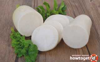 Белая редька — полезные свойства и противопоказания