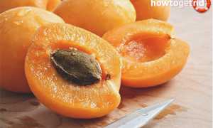 Абрикосовые косточки — польза и вред для здоровья