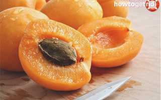 Абрикосовые косточки — польза и вред для здоровья