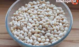 Белая фасоль — польза и вред для здоровья