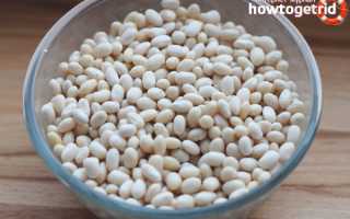 Белая фасоль — польза и вред для здоровья