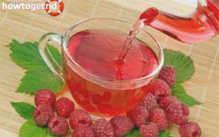 Чай с малиной при температуре — польза и вред