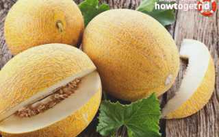 Дыня во время беременности — польза и вред