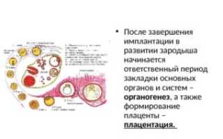 На какой день после оплодотворения происходит имплантация эмбриона
