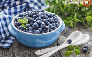 Черника во время беременности — польза и вред