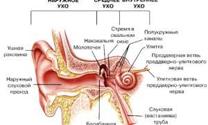 Что делать, если в ухо попала вода и не выходит