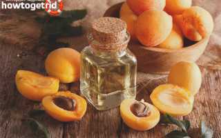 Абрикосовое масло для волос — польза и применение