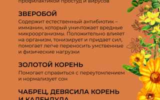 Чай из календулы — польза и вред для женщин и мужчин
