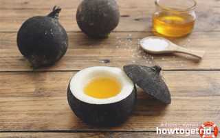 Черная редька при беременности: польза и вред