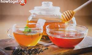 Чай с медом — польза и вред для здоровья