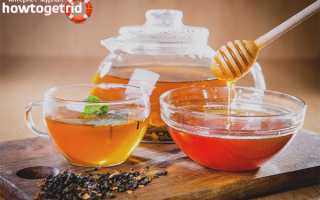 Чай с медом — польза и вред для здоровья