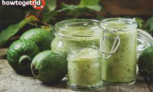 Что можно приготовить из фейхоа?