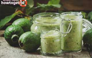 Что можно приготовить из фейхоа?