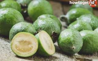 Чем полезен фейхоа для организма человека