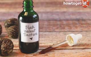 Черный орех — полезные свойства и противопоказания