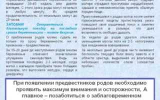 Сроки родов при первой беременности