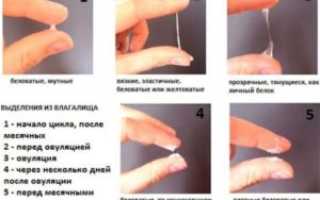 Если нет выделений после овуляции это беременность