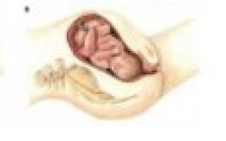 Что лучше поесть перед родами