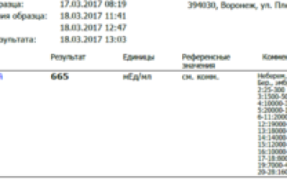 Сколько по времени делается анализ хгч на беременность