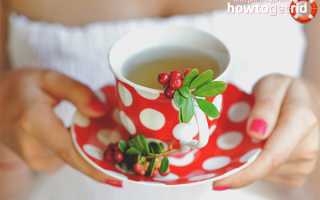 Чай из листьев брусники – польза и вред