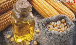 Чем полезно кукурузное масло для организма