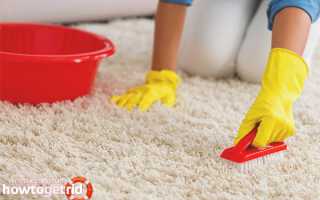 Эффективная чистка ковров в домашних условиях