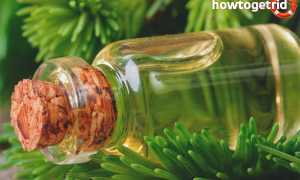 Эфирное масло ели — свойства и применение