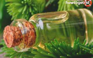 Эфирное масло ели — свойства и применение