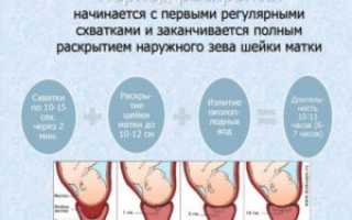 Схватки какие должны быть