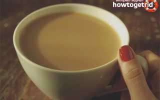 Чай с молоком для похудения: рецепты