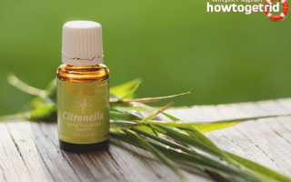 Эфирное масло цитронеллы — свойства и применение