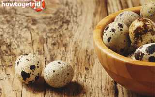 Чем полезны перепелиные яйца для мужчин и женщин