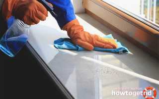 Чем мыть пластиковые окна и подоконники