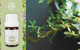 Эфирное масло чабреца — свойства и применение