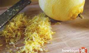 Цедра лимона — польза и вред для здоровья