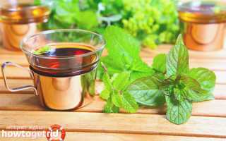 Чем полезен чай с мелиссой?